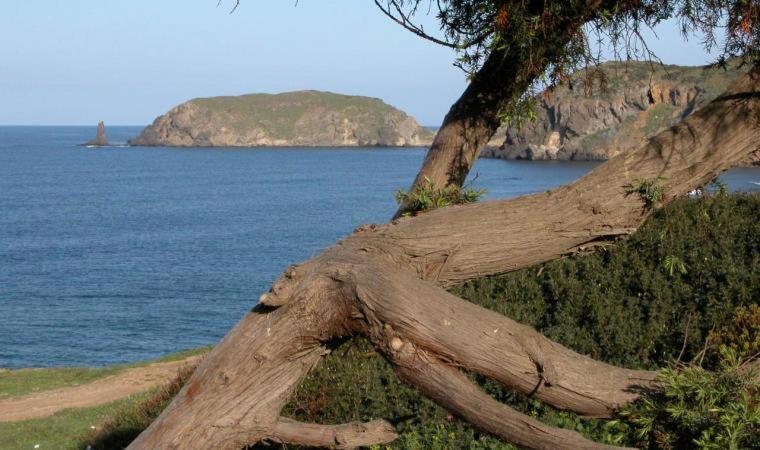 Villa casa con giardino Arbus Sardegna Esterno foto
