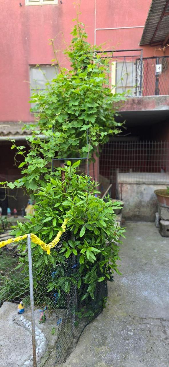 Villa casa con giardino Arbus Sardegna Esterno foto