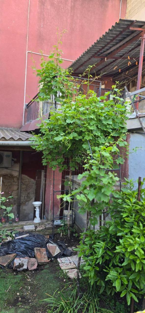 Villa casa con giardino Arbus Sardegna Esterno foto